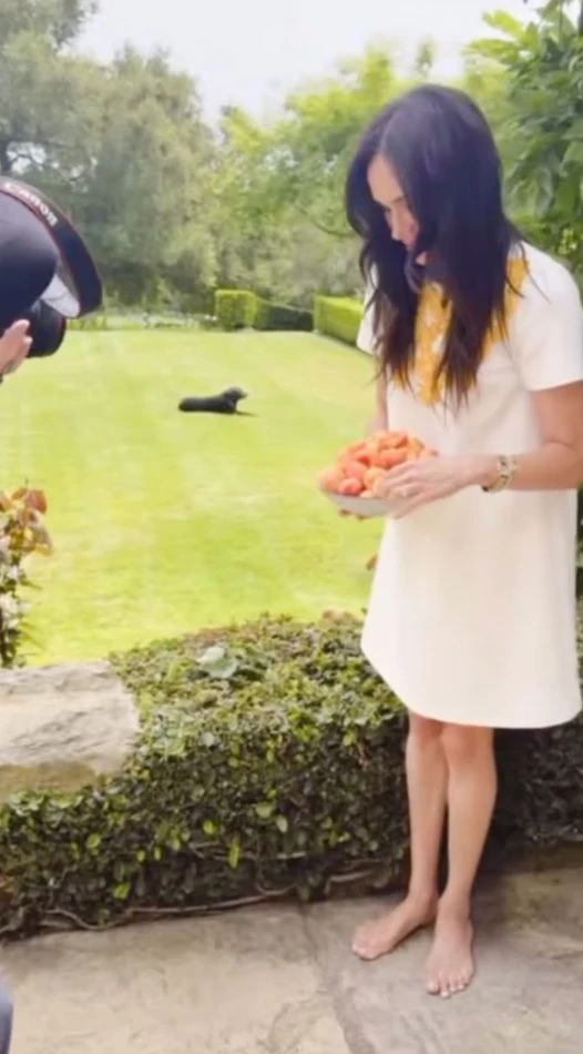 Lilibet appare in un video esclusivo dietro le quinte con Meghan Markle e Harry